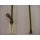 RV teilbar/ 6 mm Metall - Profil altmessing/ 50 cm/ creme