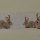Satinband Hase